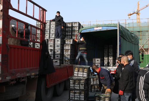 临沂水果批发市场一季度市场数据出炉！