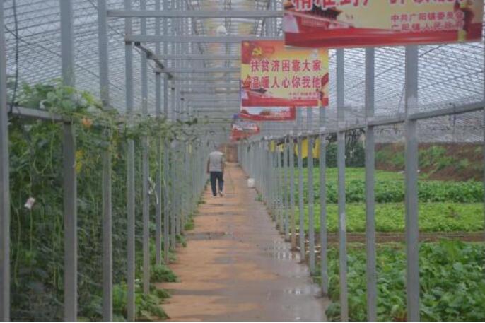 河南省方城县广阳镇以高质量发展带动贫困群众稳定脱贫