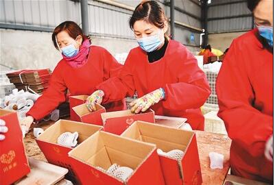 一季度全国农产品电商直播超过400万场 涉农商品网络零售额增长31%