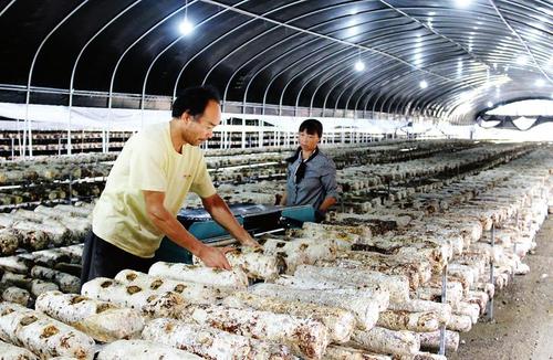 产业扶贫怎样与乡村振兴衔接？农业农村部：不能毕其功于一役