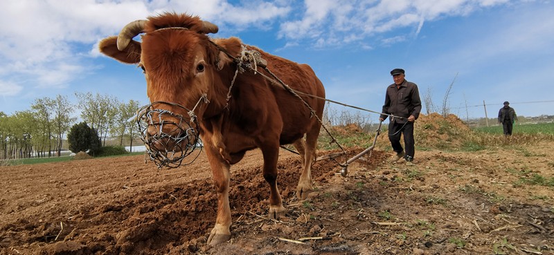 你有“故事”我有“酒” “温河大王杯”手机摄影大赛等你来分享美！