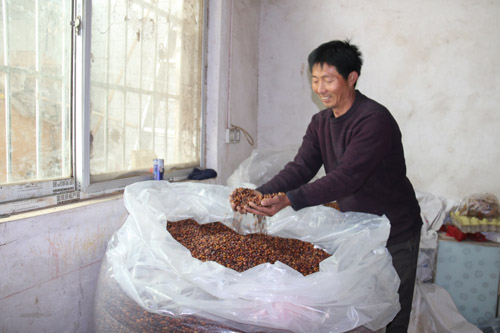 河南南召：皂角成为群众致富的“吉祥三宝”