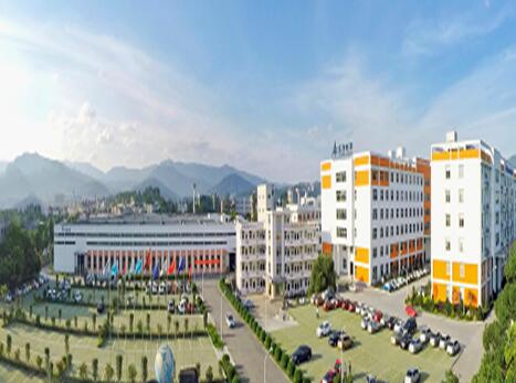 春江水暖龙头先行！龙净环保2019年度大考表现亮眼，营收突破百亿！