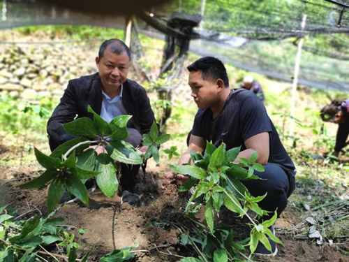 河南省南召县稳岗拓岗“两手抓”巩固脱贫成果