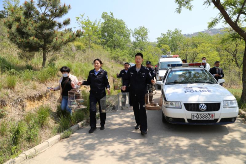 临沭查破一起非法狩猎案 放飞野鸟37只