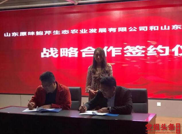 强强联合做大做强鲍芹产业，助力乡村振兴