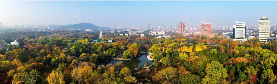 重磅！济南全面放开落户限制