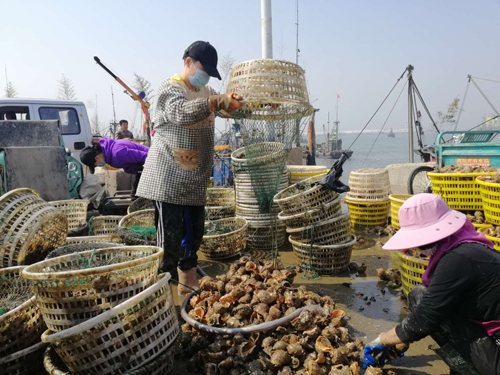 渔民最后收尾 市民压哨尝鲜