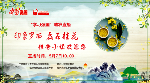 “学习强国”助农直播走进临沂罗西街道