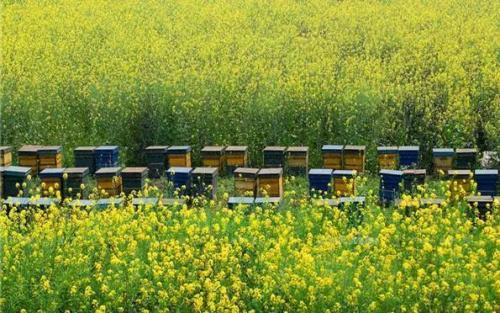 搬得出 稳得住 能致富