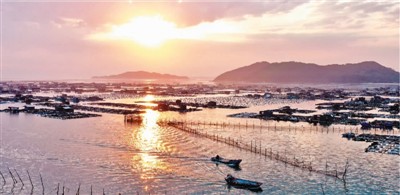 各地暖风吹 侨企复工复产忙