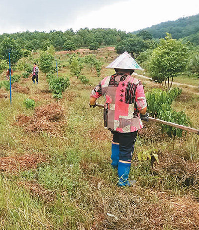 20200506094806929.jpg 20200506094806929.jpg