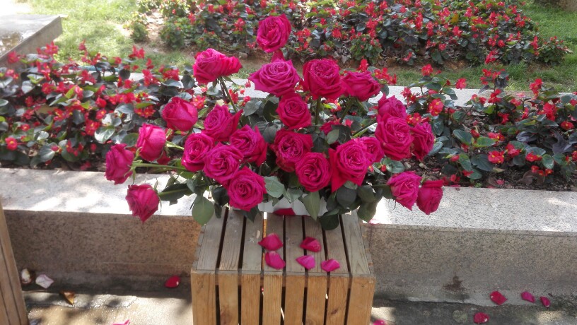 大湾区城市群近郊的乡村成文旅新“网红”