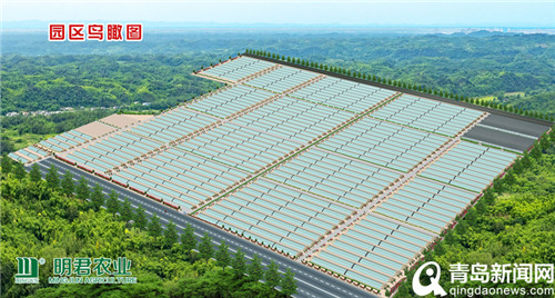 首期投资2亿元 平度将打造江北最大西红柿产业基地