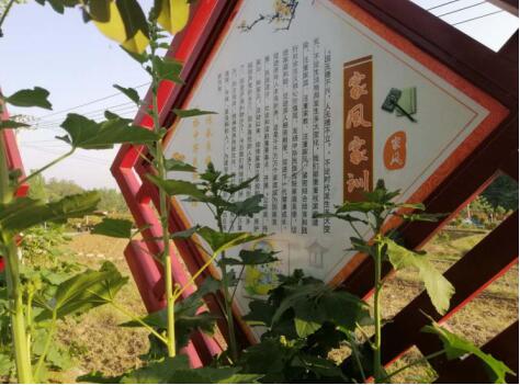 20200506170326232.jpg 20200506170326232.jpg