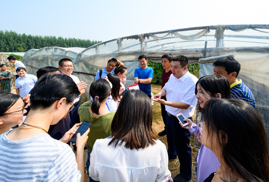 “黄瓜贷”“草莓贷”，齐鲁银行创新金融服务助力脱贫攻坚