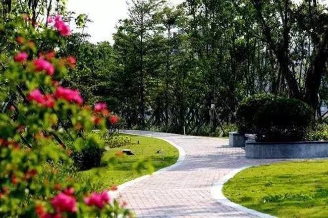 河北因地制宜建设“口袋公园”