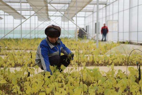 安徽31个贫困县全部摘帽 告别区域性整体贫困