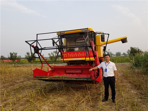 青岛农业大学机电工程学院王东伟：良田里的“农机超人”