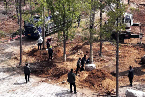 临沂探索适合蒙山森林生态系统修复模式