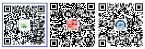 @临沂人，出行必备健康码，速来领取！