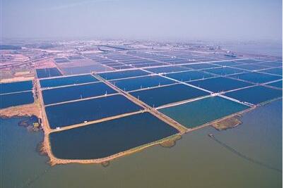 海上“巨无霸”筑牢“蓝色粮仓” 广东推进海上养殖大平台迭代升级