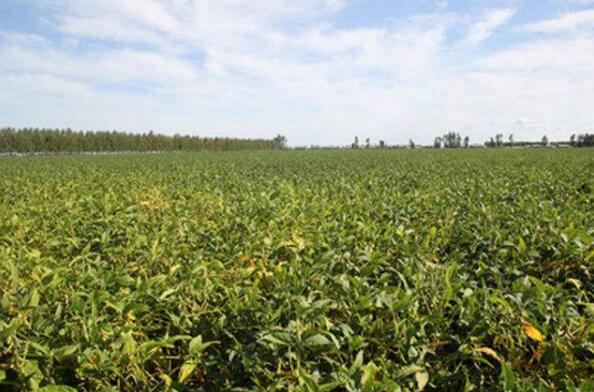 黑龙江海伦跻身全国十大天然富硒基地