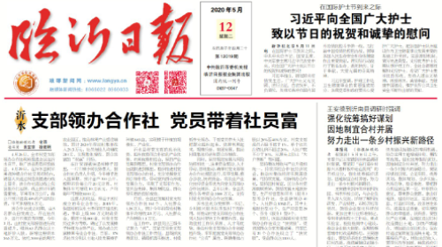 临报头条| 临沂这个地方 支部领办合作社 党员带着社员富