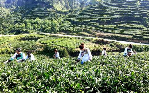 湖南：15项措施助推文旅赋能乡村振兴