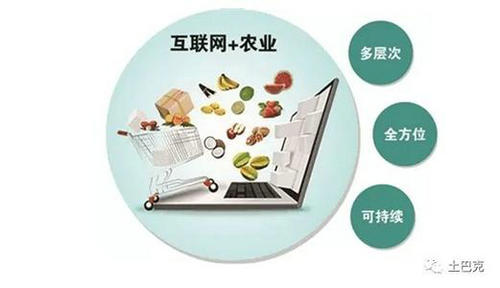 国资委：央企上线电商平台解决农产品卖难