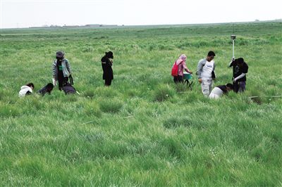 按下“双一流”建设快进键