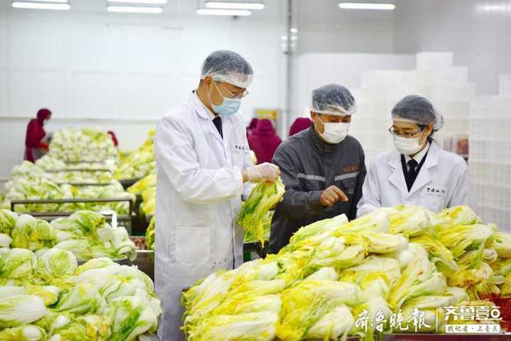 打破技术壁垒！烟台泡菜9年后重入韩国市场，9年间经历了什么？