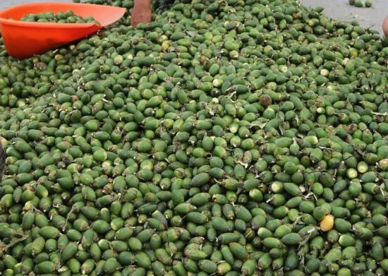 海南新增7个国家农产品地理标志