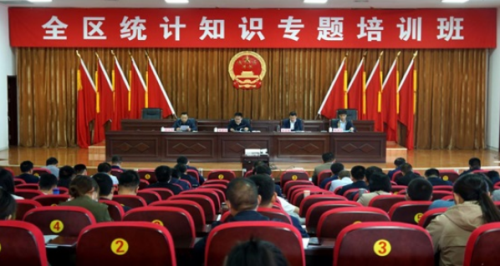 临沂市统计局助力基层 开展县区轮训指导工作