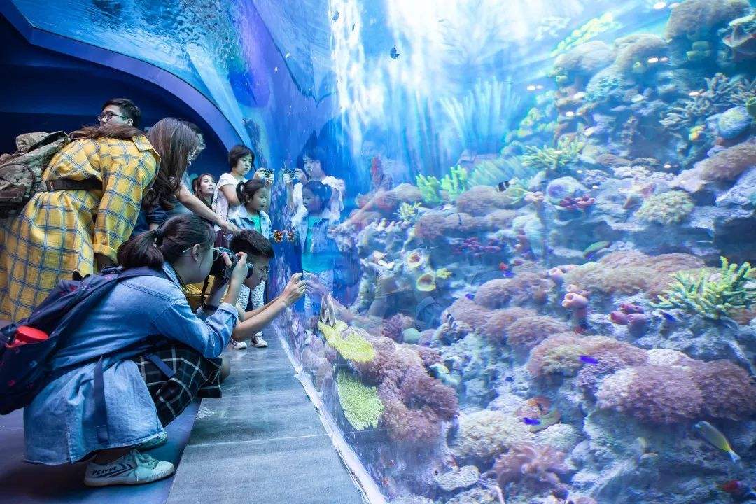 上海浦东：20家A级景区以及迪士尼乐园、海昌海洋公园等恢复开放