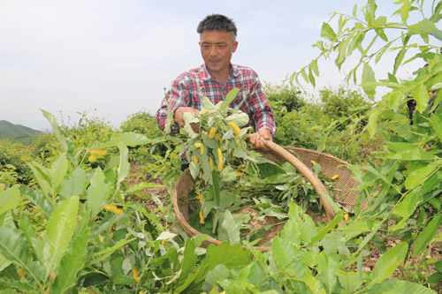 20200515110131386.jpg 2.jpg