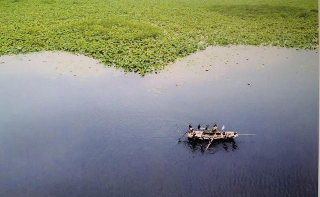创建国际湿地城市 济宁将新建完善小微湿地60处