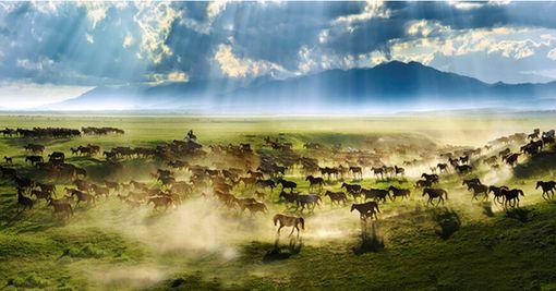 新疆举办旅游日活动促文旅消费 授牌13家4A级景区