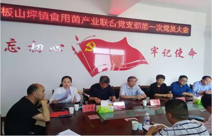 河南南召板山坪镇：切实让食用菌产业成为富民产业