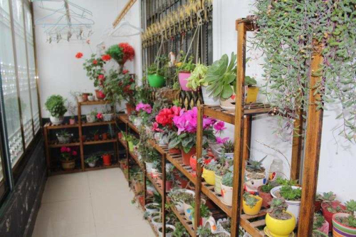 罗庄区沂堂镇人居环境综合整治绘出乡村文明新“画卷”