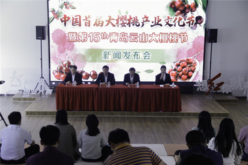 “中国首届大樱桃产业文化节”新闻发布会在平度举行