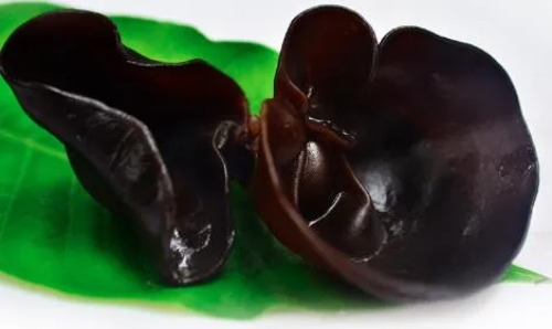 又双叒叕一起！女子吃黑木耳后中毒身亡！