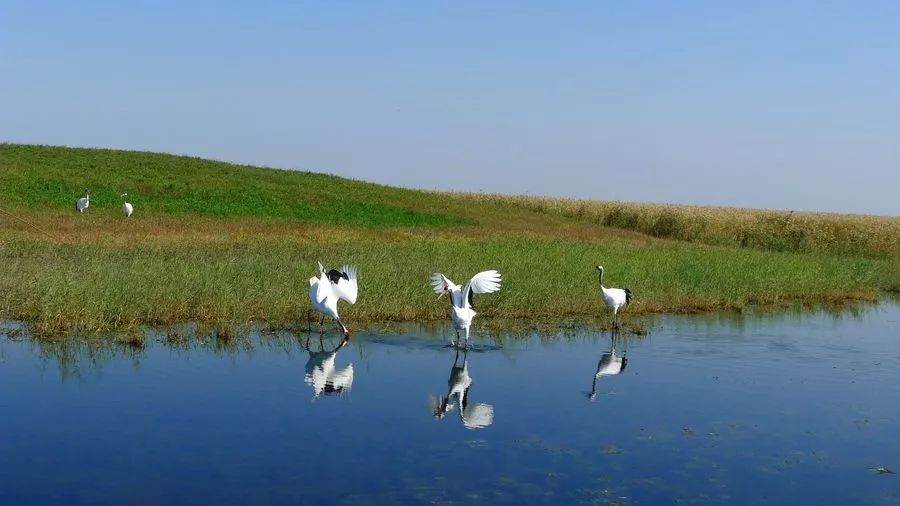 我国各类保护地总数达1.18万个