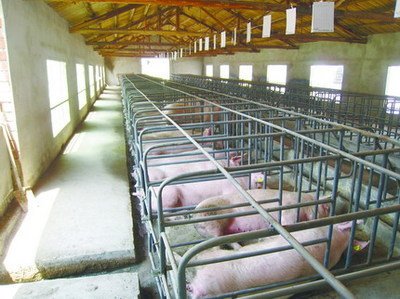 徐州完成49个规模化生猪养殖用地保障