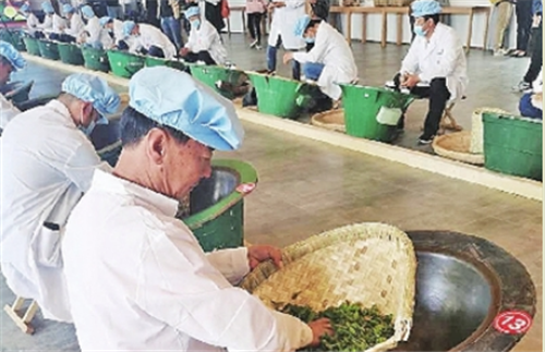 青岛崂山茶文化节开幕