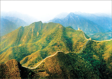 截至5月中旬 河北省营造林面积完成全年任务的62%