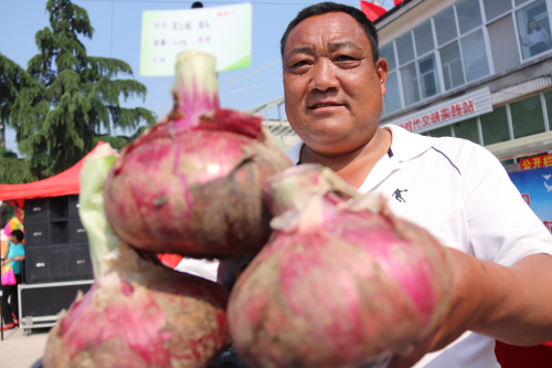 兰山区白沙埠镇：洋葱念活致富经