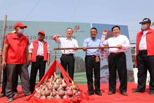 中国·临沂白沙埠镇2020年洋葱文化节开场