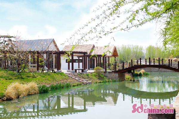 这就是山东|山东谱写现代乡村“田园牧歌”！