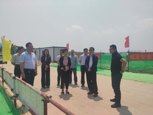 临报集团党委副书记、总经理陈学善到蒙阴县调研大健康产业